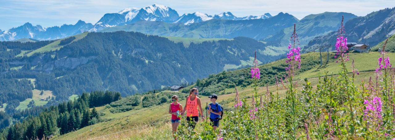 プラーズ・シュル・アルリーFleur Des Montagnesアパートメント エクステリア 写真